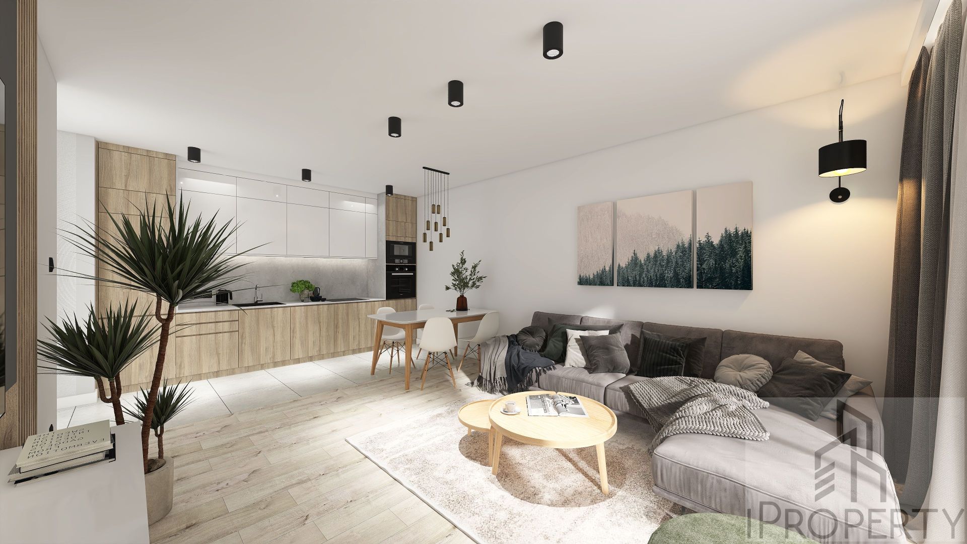 Gowarzewo – Develo – salon z aneksem kuchennym (2)